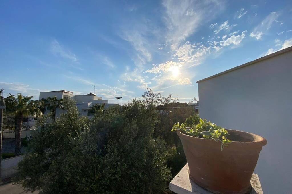 Villa Fiorella Porto Cesareo Primo Piano 2 Locali 외부 사진